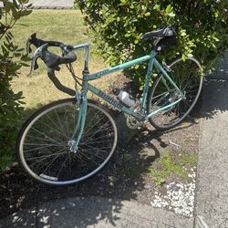Vintage Bianchi Campione Campagnolo Equipped Made In Italy Road Bike