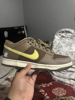 Undefeated Nike Dunk Low Canteen