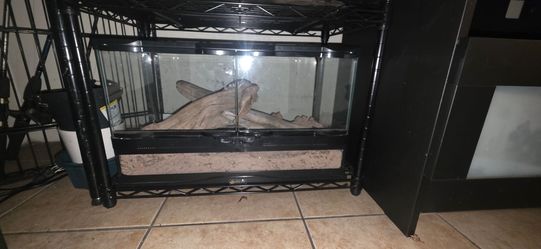 Zoo Med Desert Reptile Tank Terrarium