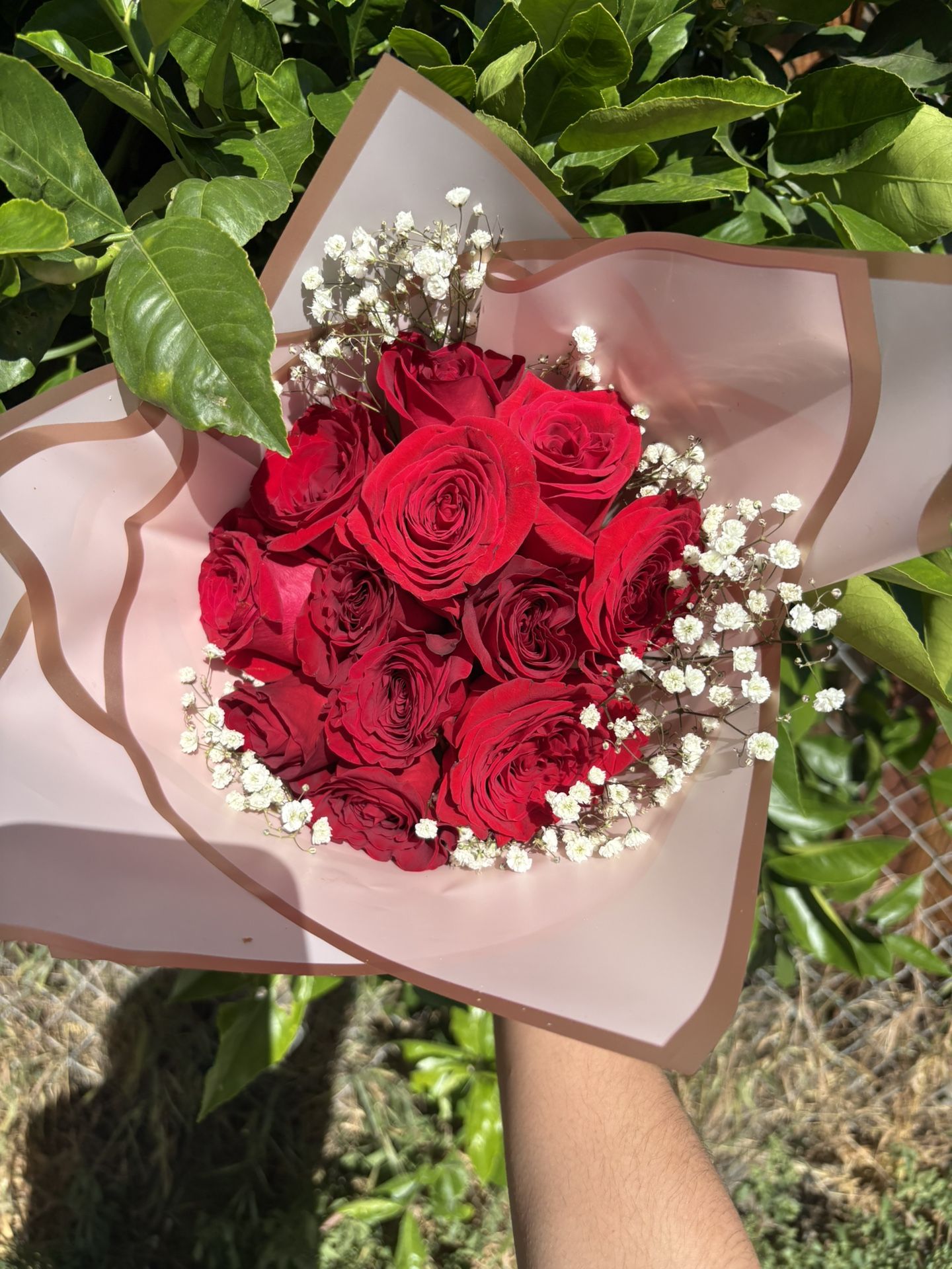 Natural roses!!