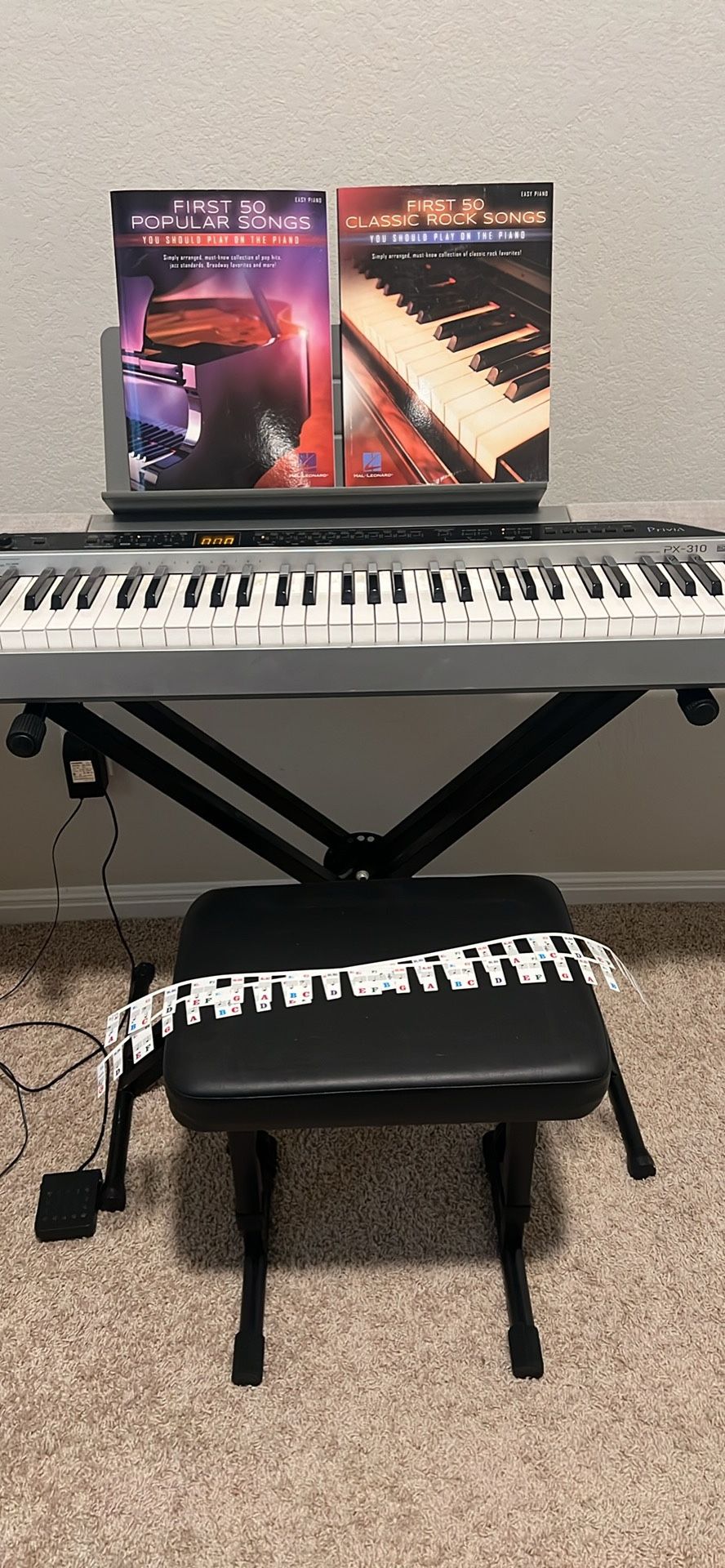 Casio Privia PX-310 Weighted 88 Key Keyboard