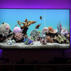 HUGE 85" TCL 4K Smart Roku TV + Wall Mount (Orig. $2,000)