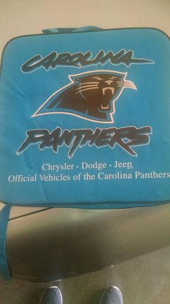 Panthers seat cushion