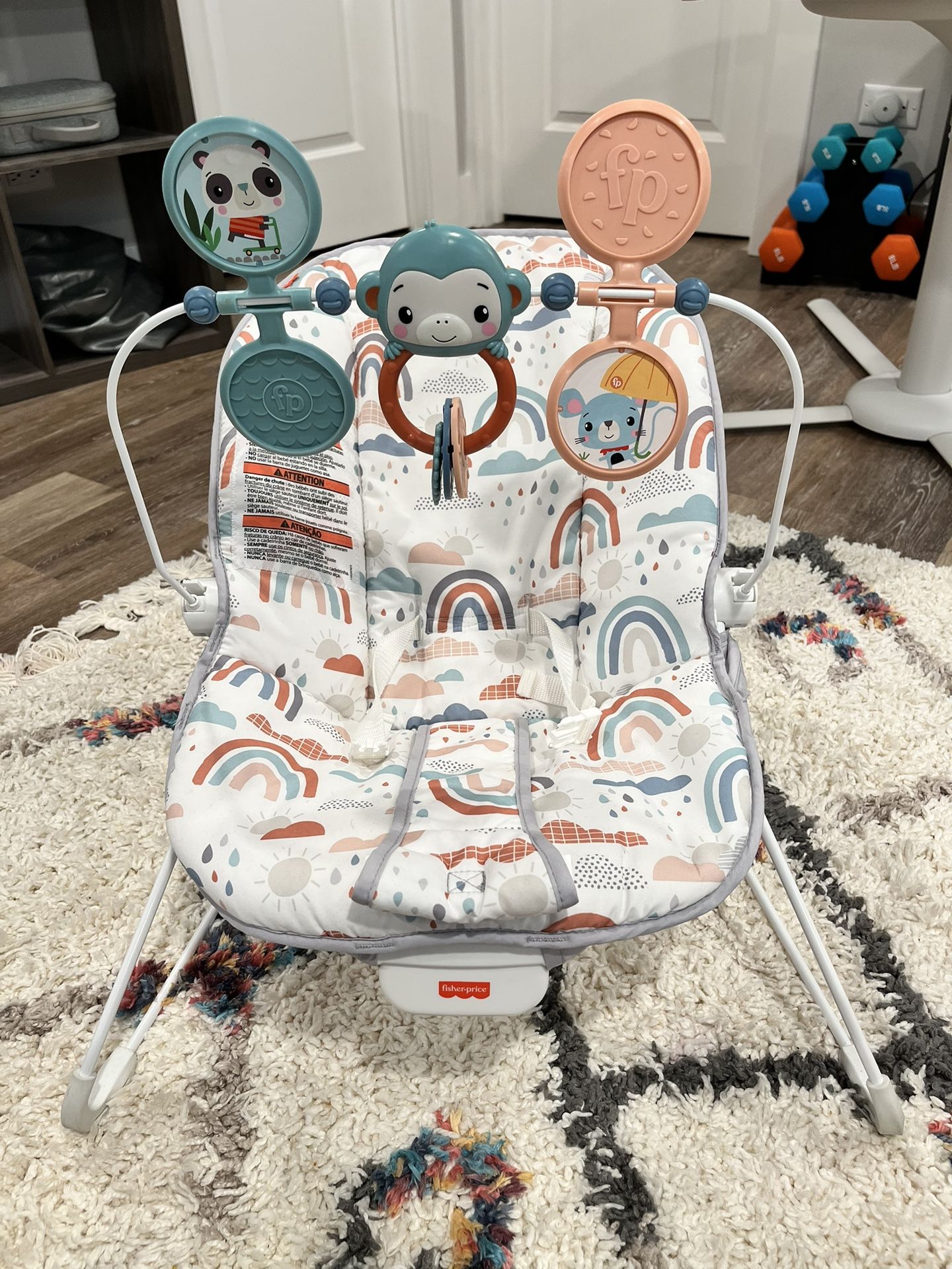 Baby Bouncer