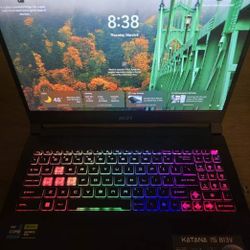 MSI Gaming Laptop