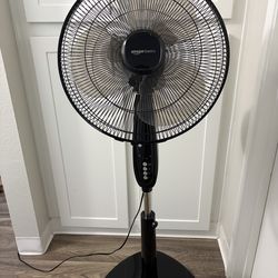 Fan !