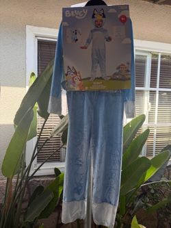Bluey Halloween costume size 3T to 4T