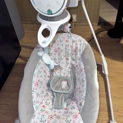 Ingenuity Baby Swing