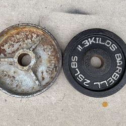25LB Olympic Weights