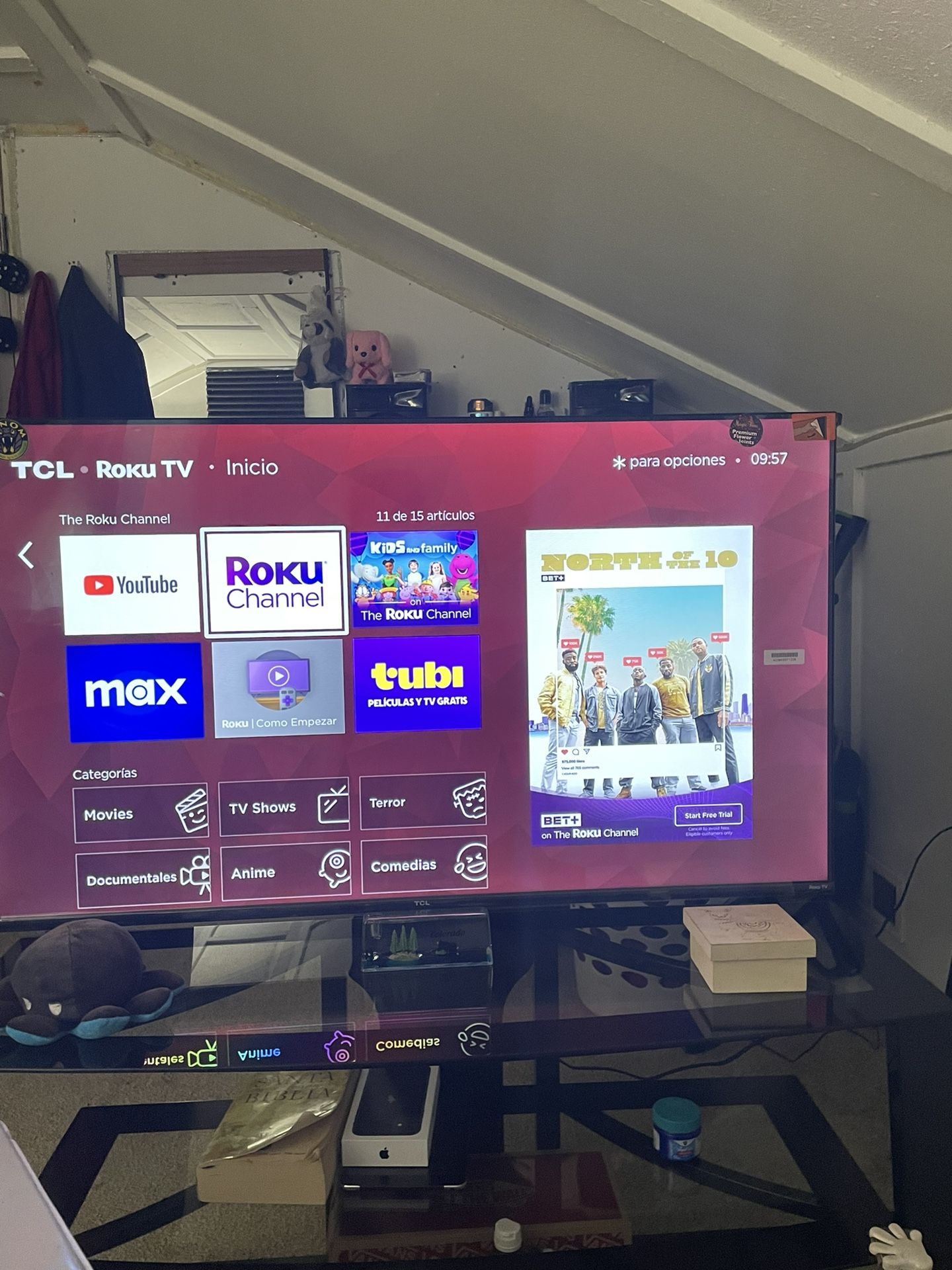 Roku Tv