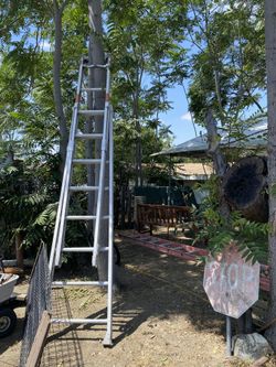 Ladder