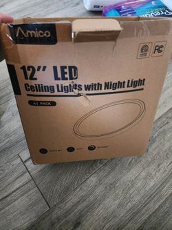 Ceiling LED Light With Night Light  12"