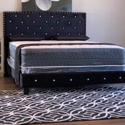 Brand New Queen/King Tufted Platform Bed With Plush Mattress Set (Free Delivery)