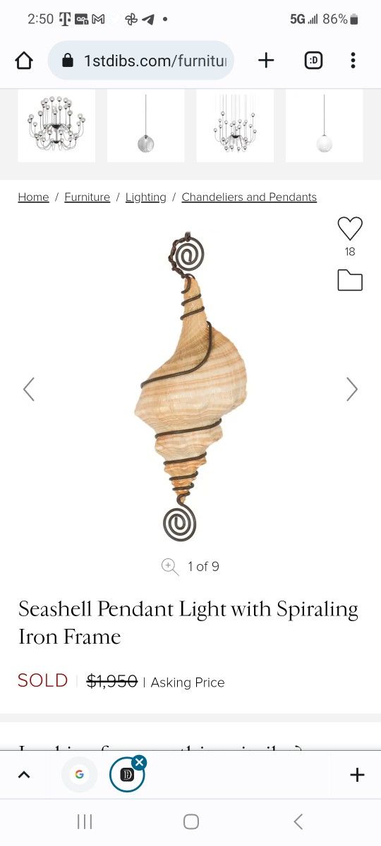 Shell Light Hanging Light