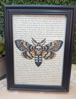 Death moth