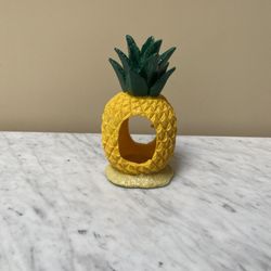 Pineapple Fish House🍍🐟🐠