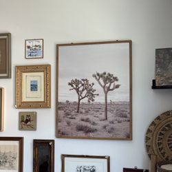 Joshua Tree Framed Art