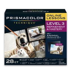 Prismacolor Online Lesson Level 3 