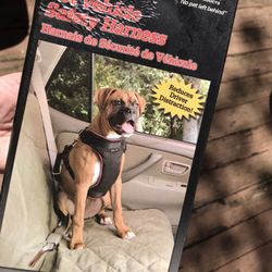 New In Box Safety Harness  For Dogs Medium Size  Please Check My Other Listings 