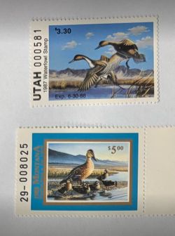 Two Duck Stamps both Unused Mint Never Hinged Original Glue.  Duck Stamps MT3 Montana 1988 & UT2  Utah 1987 both Unused MNH OG.  The stamps pictured a