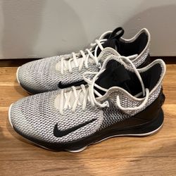 Lebron witness IV size 8