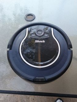 Shark