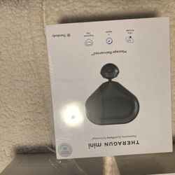 Massager Theragun Mini