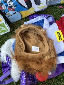 Kids And Pet Halloween Costumes