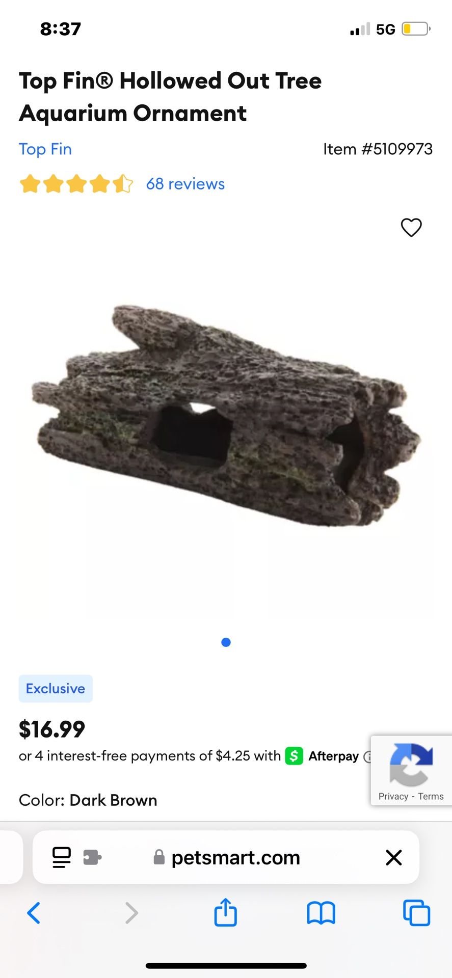 Fish Tank Decor