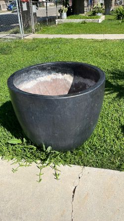 Large Plant Pot