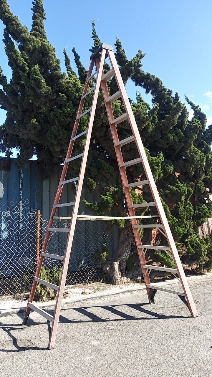 12" Werner Ladder