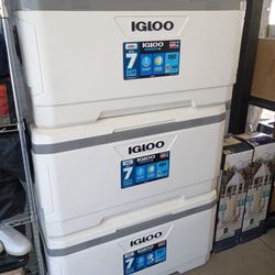 IGLOO   Maxcold  XL   150qts Cooler