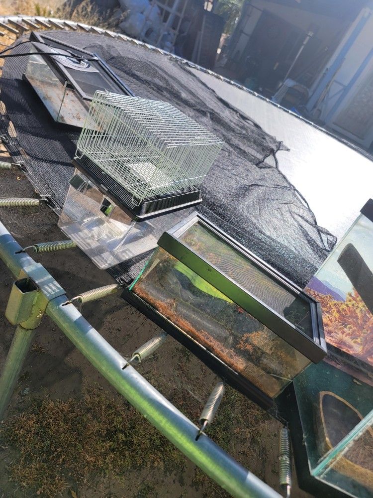 Reptile Tanks
