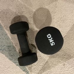 5kg / 11lbs Weights