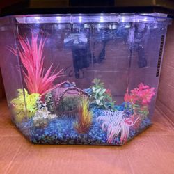 Fish tank With many accessories 
