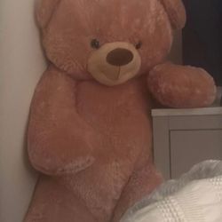 Teddy Bear