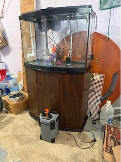 36 Gallons Fish Tank