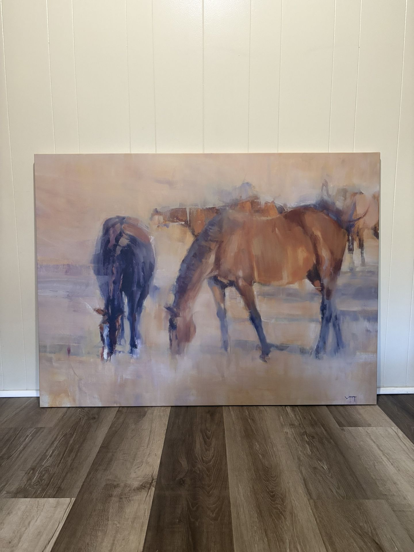 Horse Canvas Print