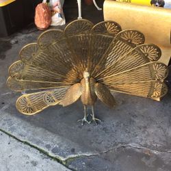 Peacock Of Bronce 