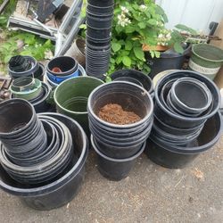 Pot Planter 