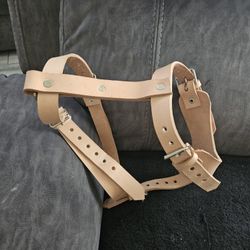 New Leather Dog Collar