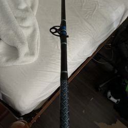 Custom rod