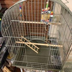 Bird Cage 