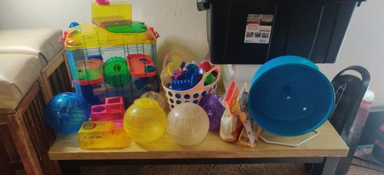 Hampster Gerbil Cage And Accessories