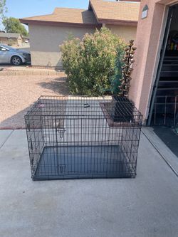 Dog Cage