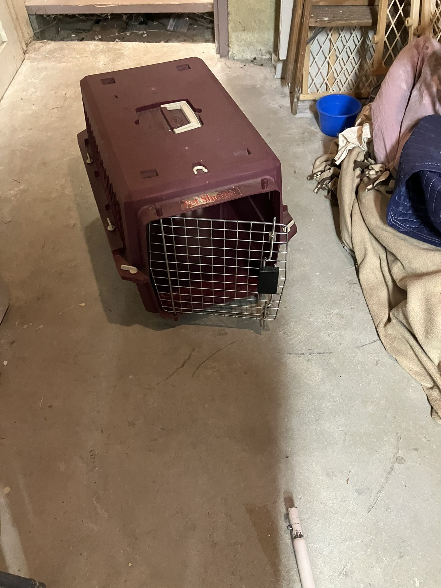 Burgundy Dogs Crate 