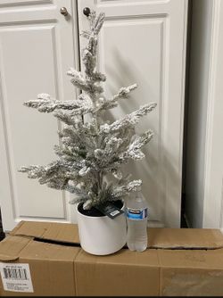 Threshold Christmas Tree