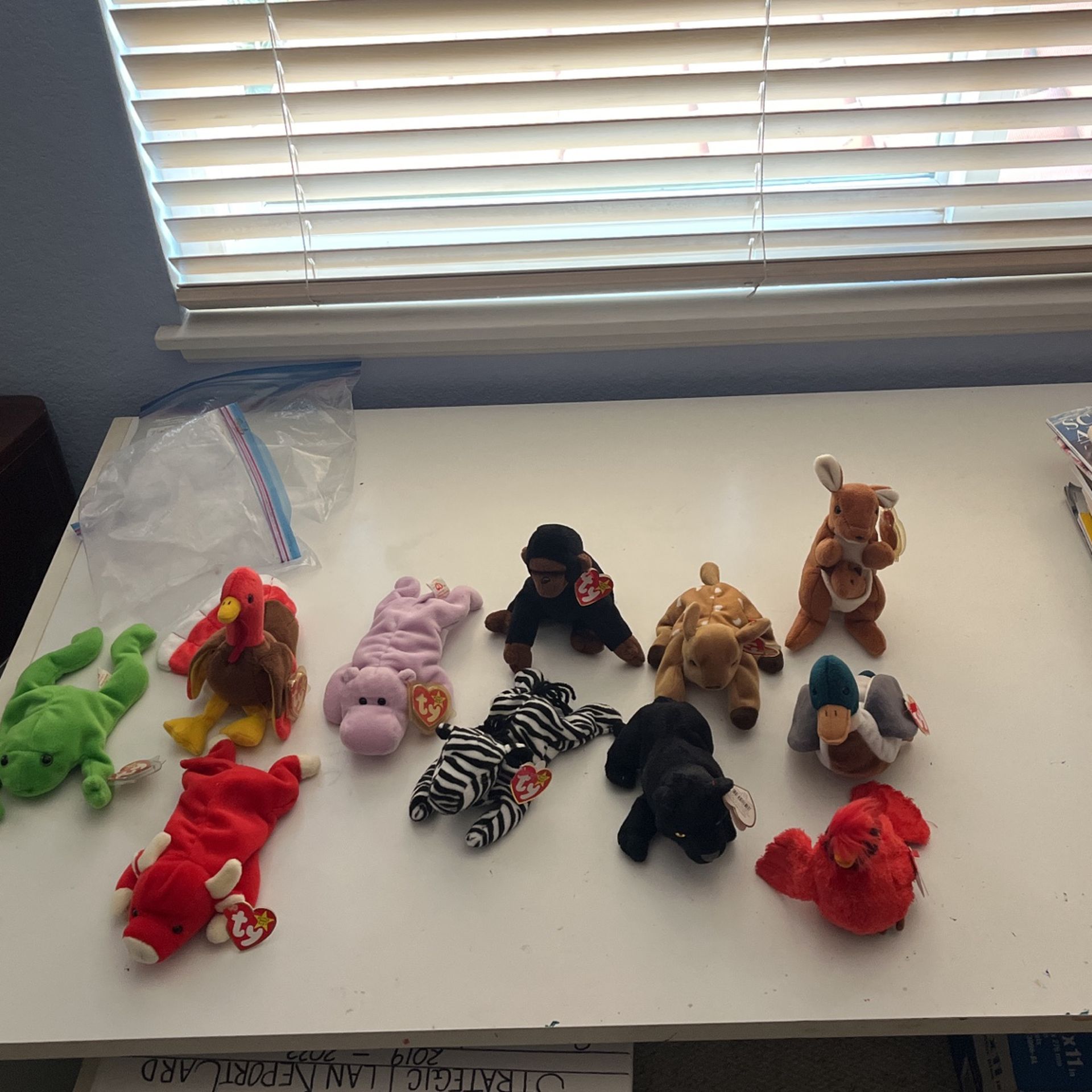 Mid 90’s Beanie Babies With Tags