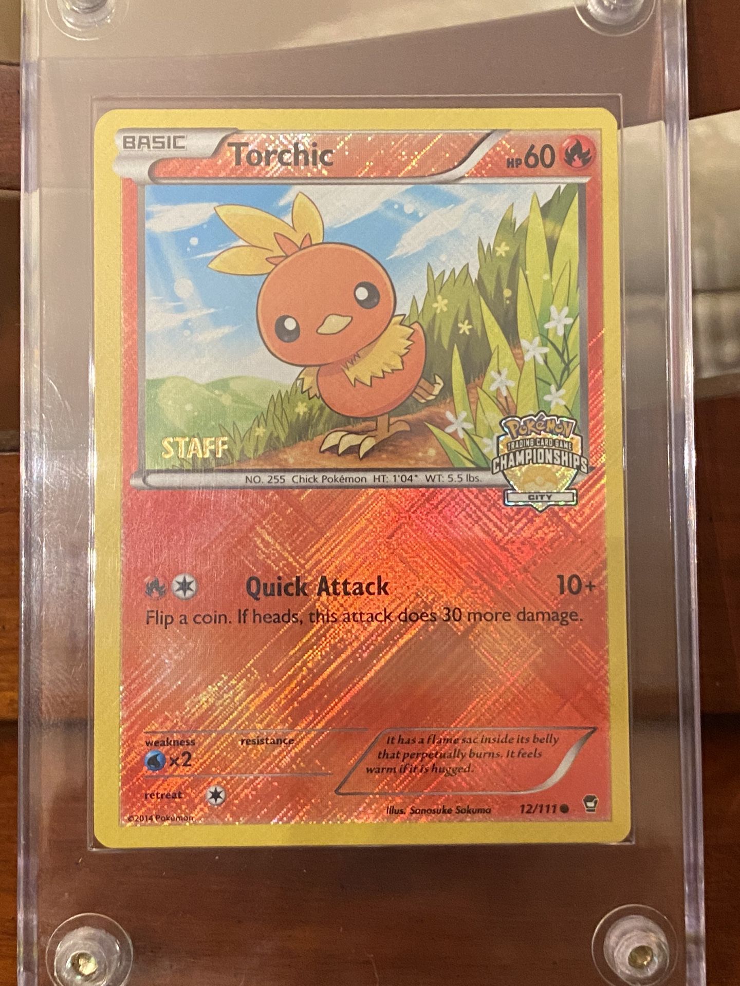 Pokémon Card !