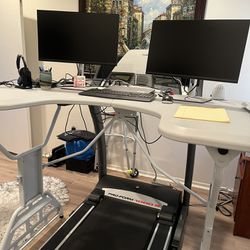 Pro-Form Treadmill and Trek Desk